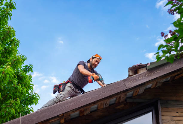 Best Asphalt Shingle Roofing  in Patterson Tract, CA